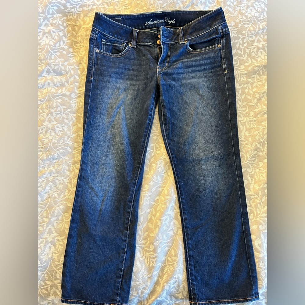 American Eagle Artist Jeans- Regular